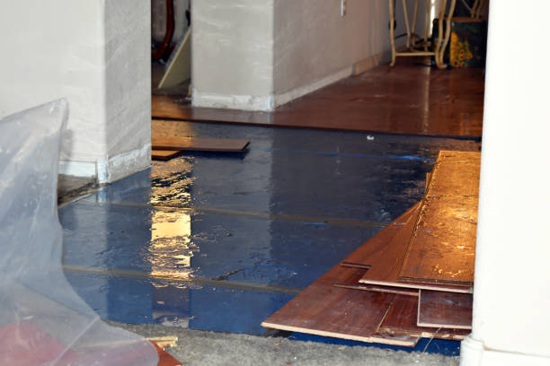 Professional Flood Cleanup technician working in West, MS